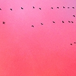 Ciel de braise